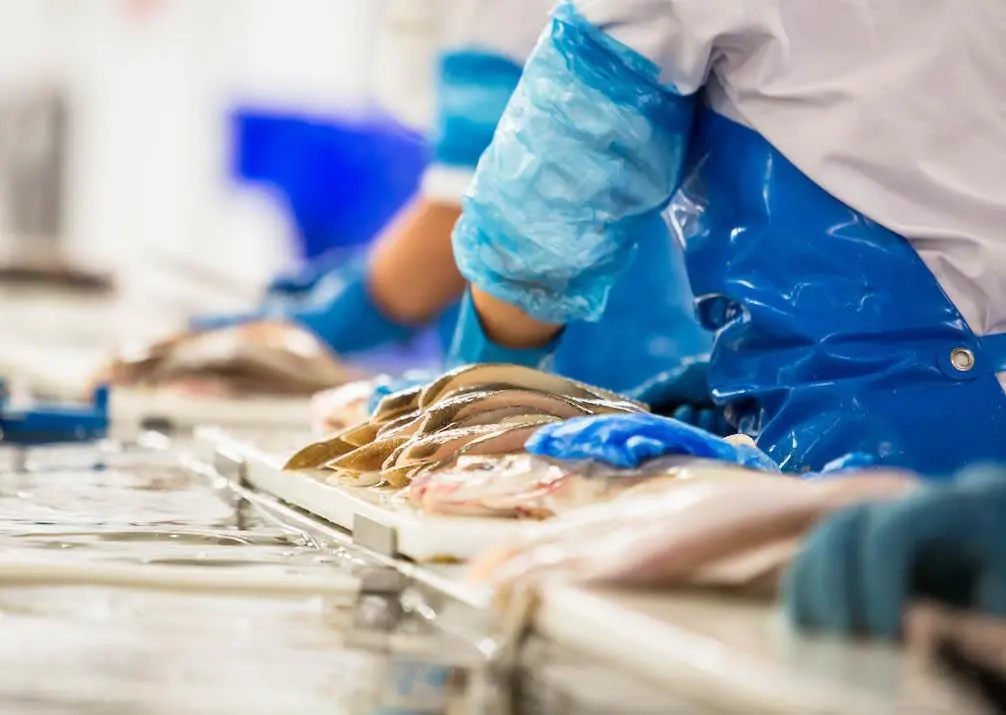 US seafood processing