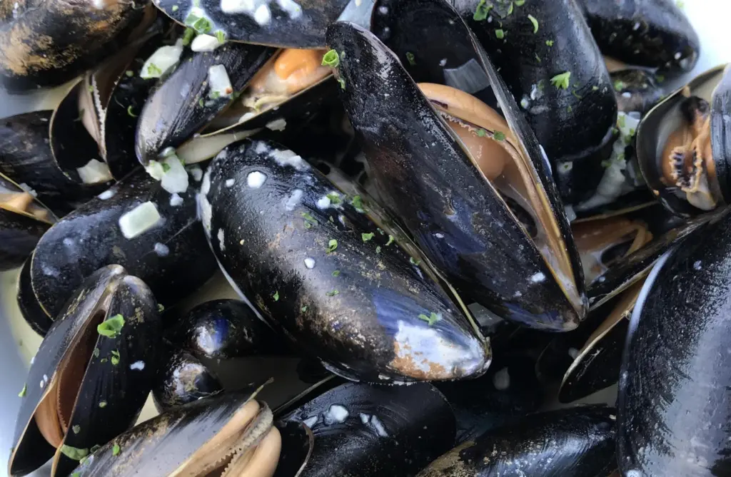 UK Mussels