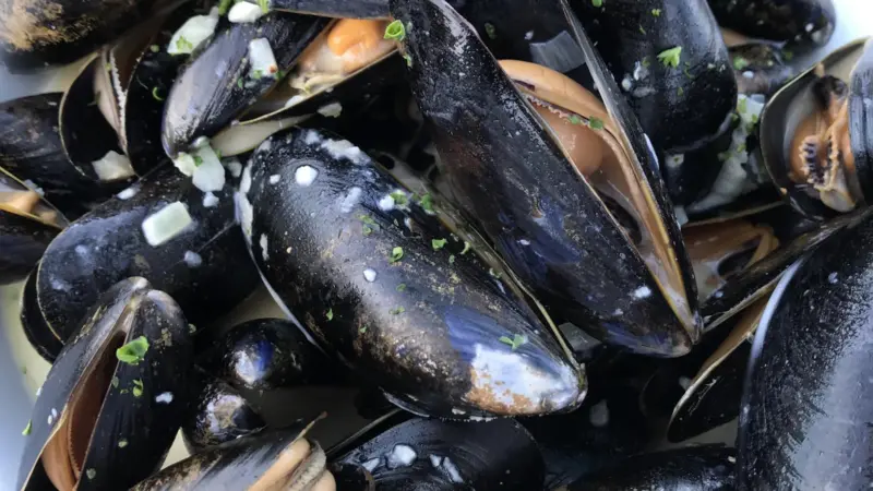 UK Mussels