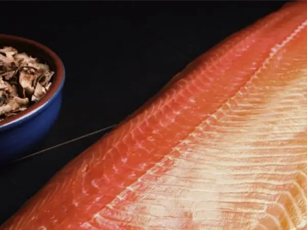 sideSalmon