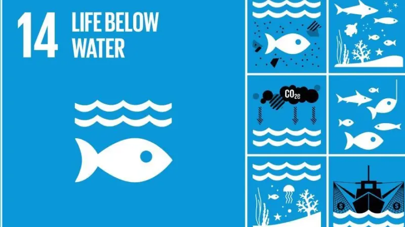 sdg-14-life-below-water