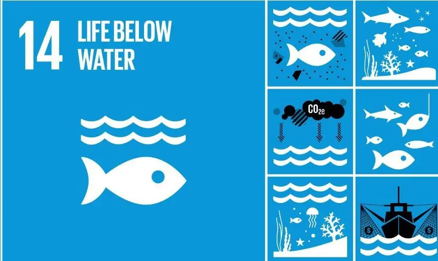 sdg-14-life-below-water