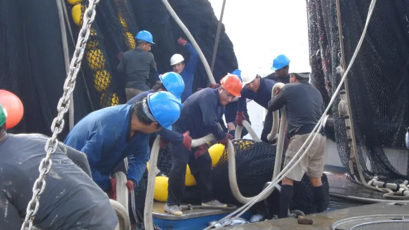 Opagac tuna purse seine vessel activity