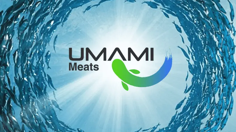 umami_meats_banner _s