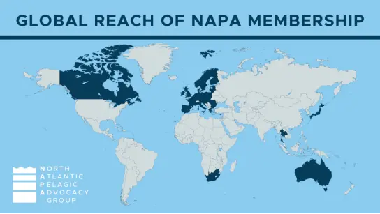 NAPA Reach