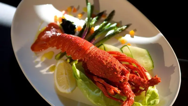 Australian rock lobster