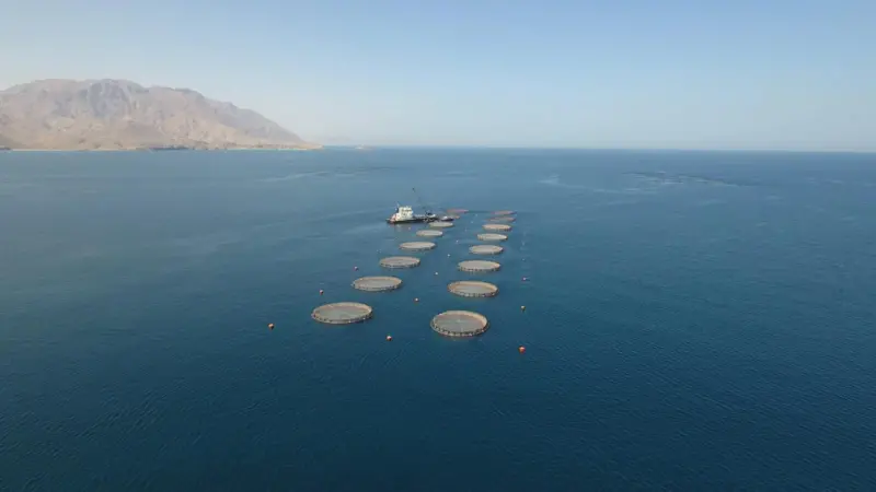 Blue-Waters-marine-fish-farm