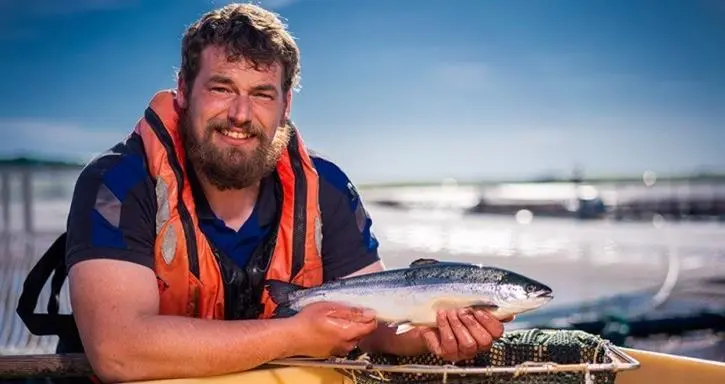 scottish-salmon-quote