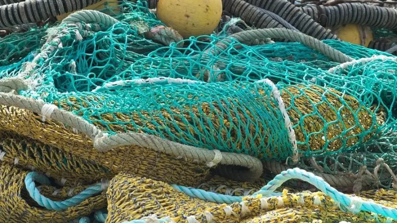 Fishing net