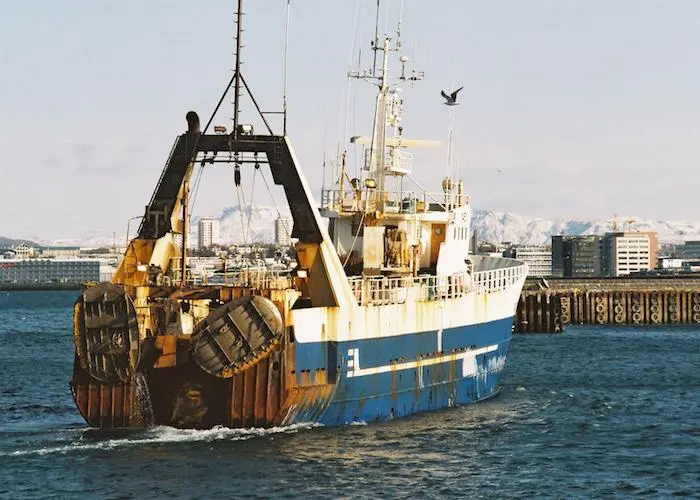 Icelandic sfishing