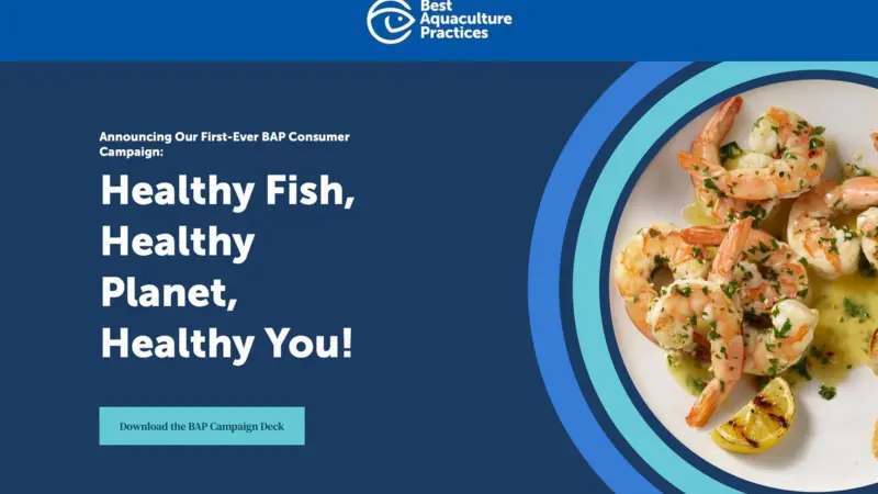 BAP_Consumer_Marketing_Campaign