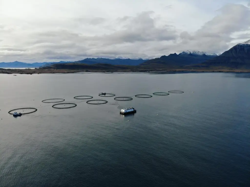 Ice Fish Farm
