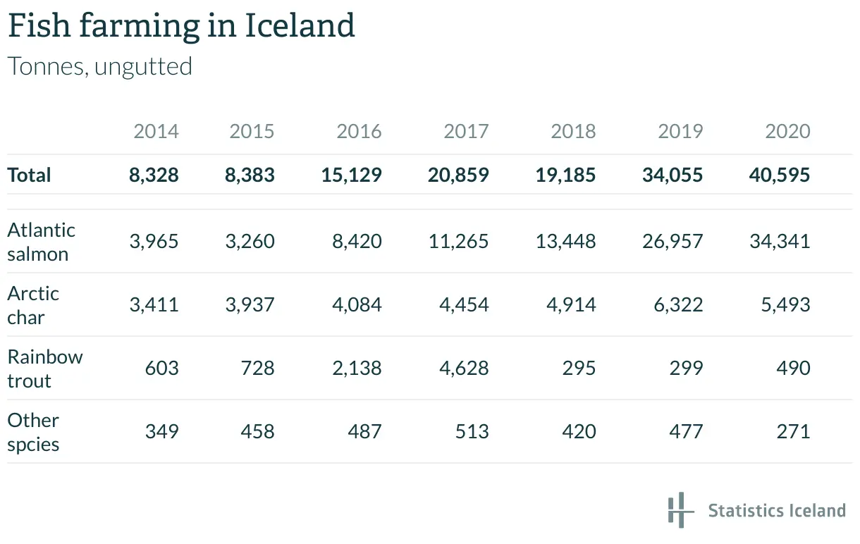 fish-farming-in-iceland