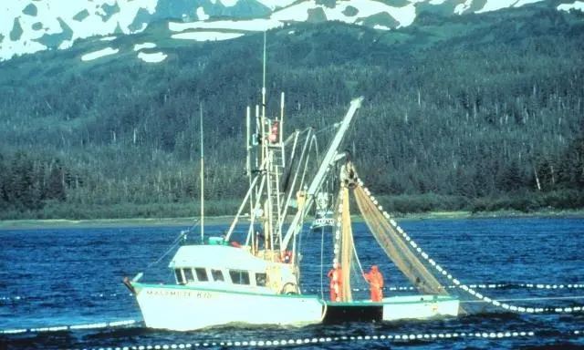 salmon purse seiner