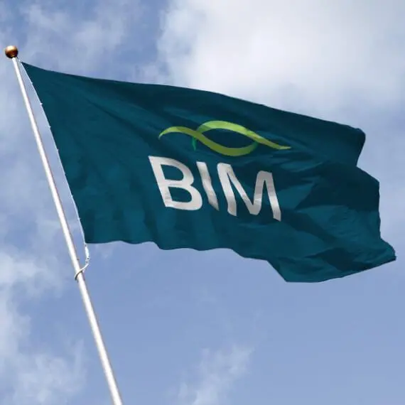 bim-7.2