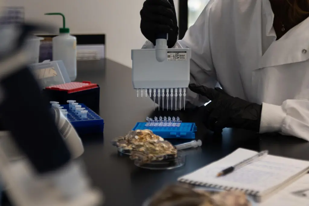 Lab