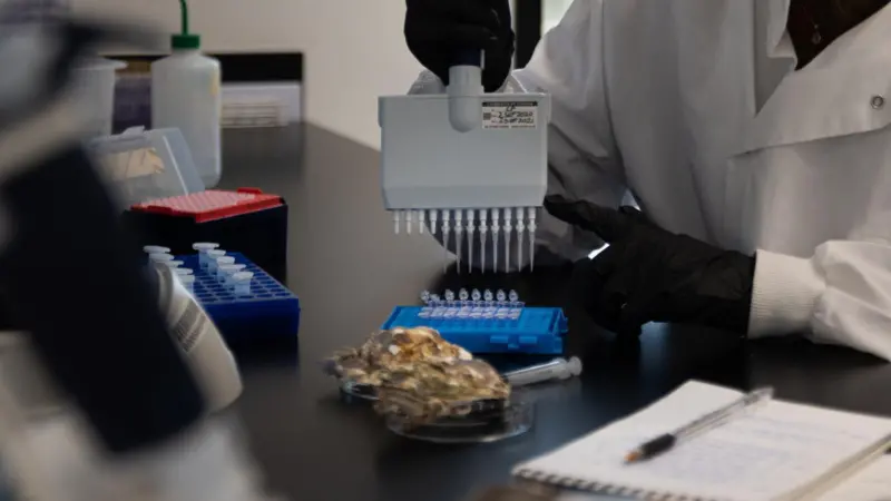 Lab