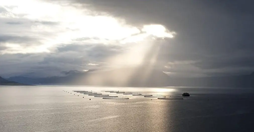 Ice Fish Farm