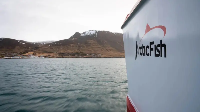 Arctic.Fish