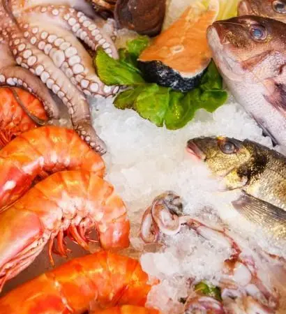 fresh-seafood-1371738699n2g
