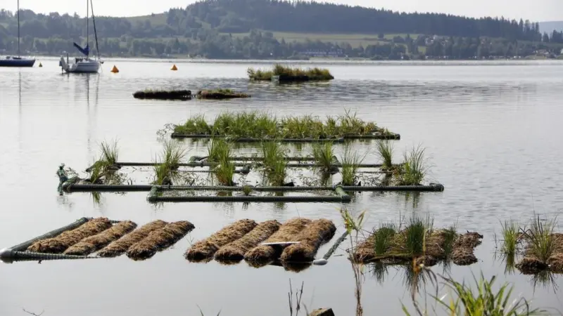 The fund will support the Czech Republic to build more sustainable fisheries