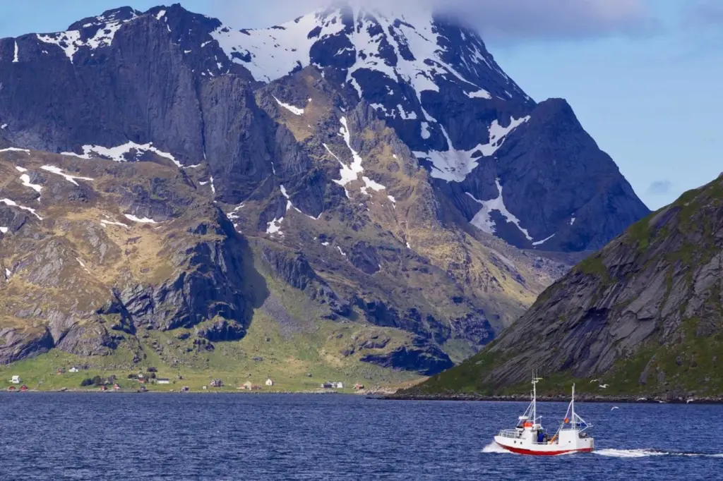 Norwegian-fjord