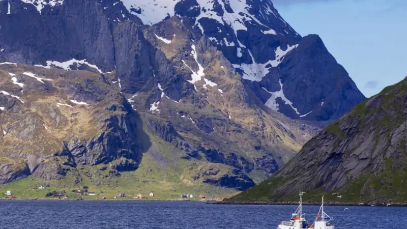 Norwegian-fjord