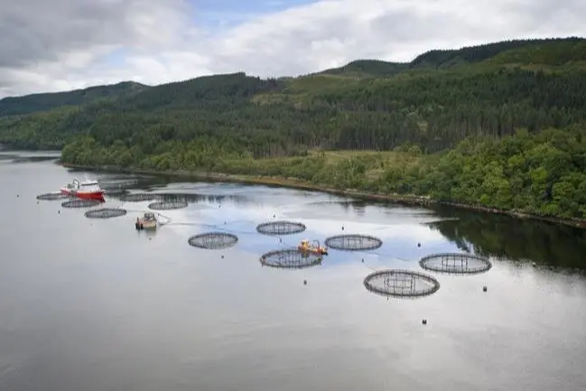 Salmon Scotland now has 33 members following continued growth in the sector