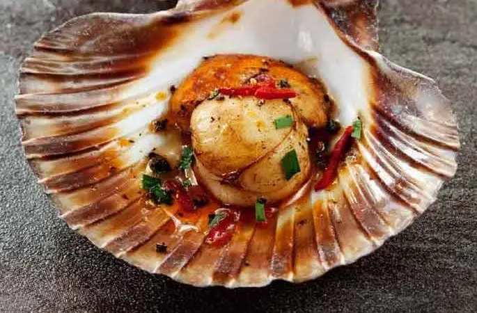Bass Strait Scallops