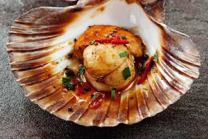 Bass Strait Scallops