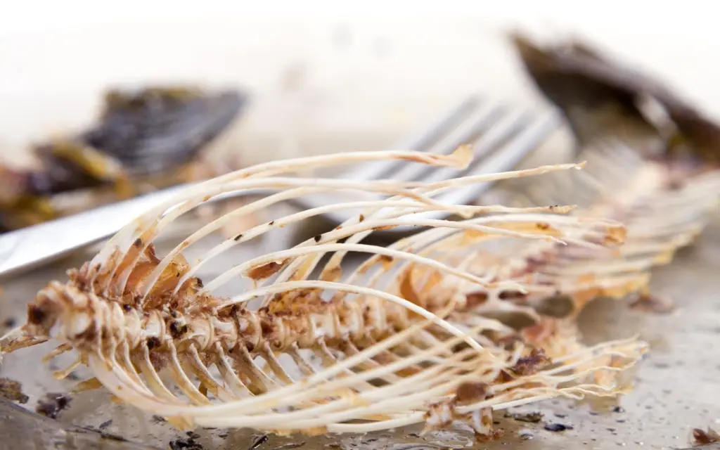 Fish bones