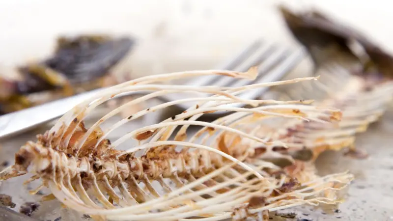 Fish bones