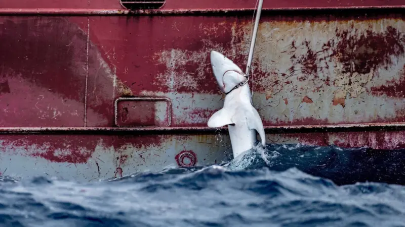 GP0STU6AA_PressMedia