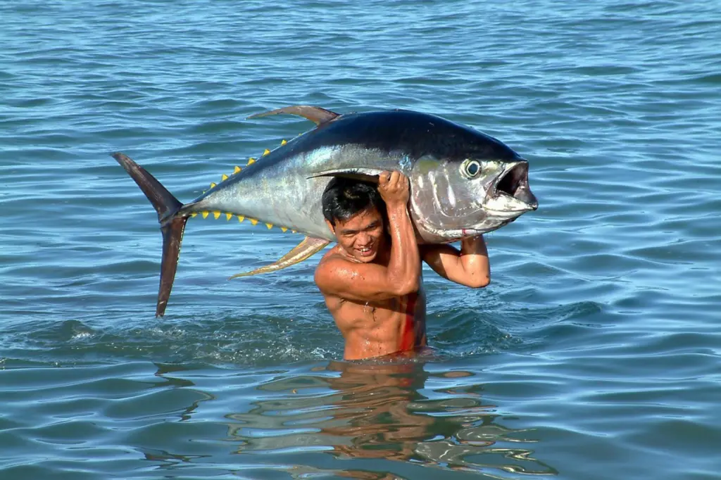 Yellow_fin_Tuna_Fish