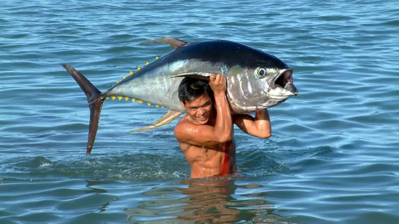 Yellow_fin_Tuna_Fish
