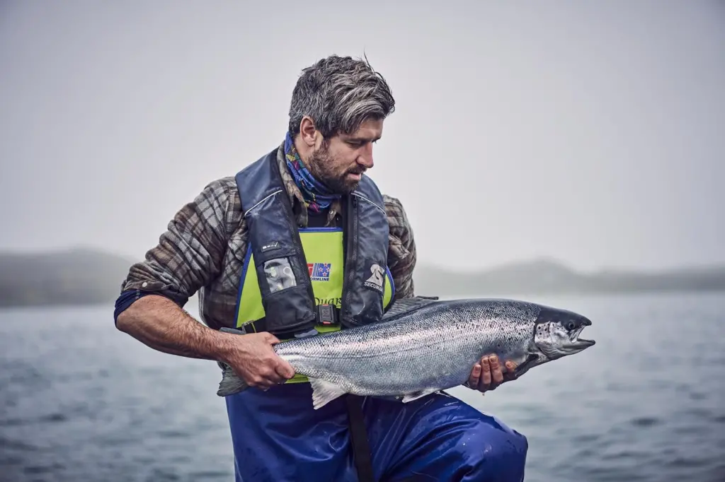 Loch_Duart_husbandryman_holding_salmon