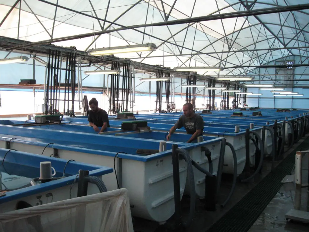 Ukraine aquaculture