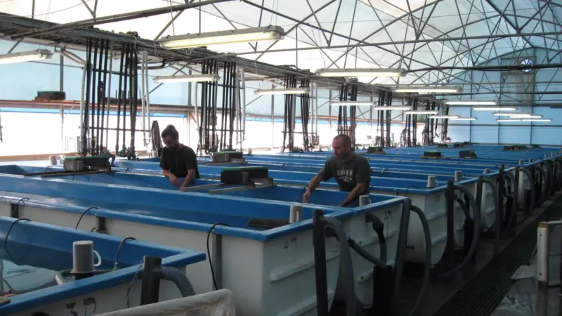 Ukraine aquaculture