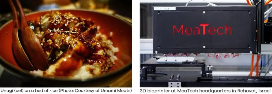 Umami & MeaTech