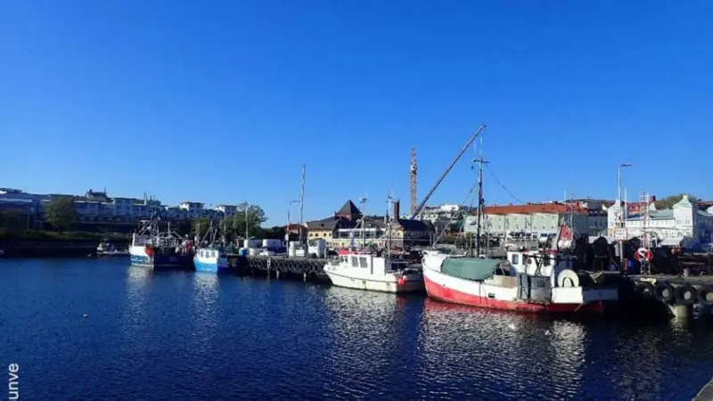 sweden-emfaf_0