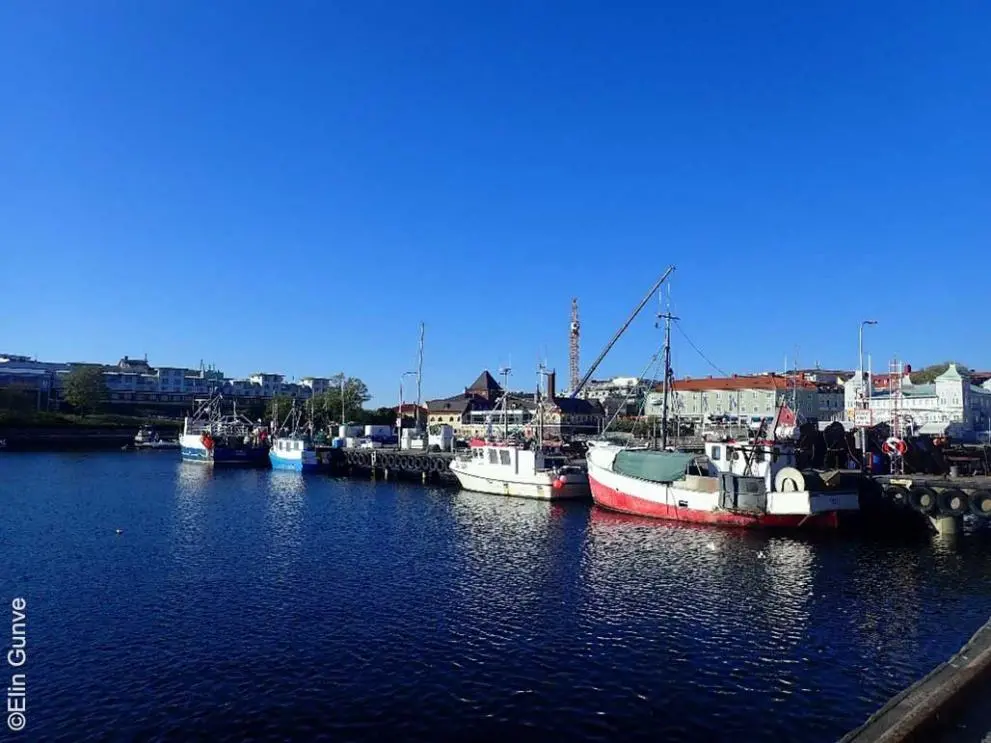 sweden-emfaf_0