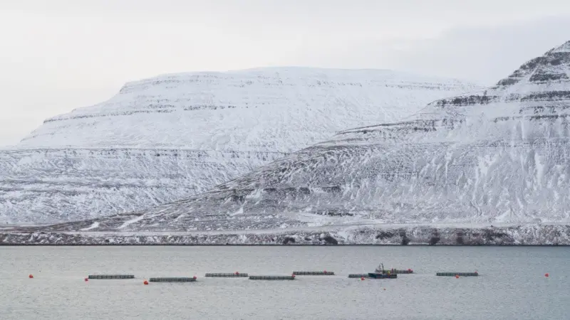 isafjordur_iceland_aquaculture_farm_outside_isafjordur_westfjords_salmon_trout_farming_biomar