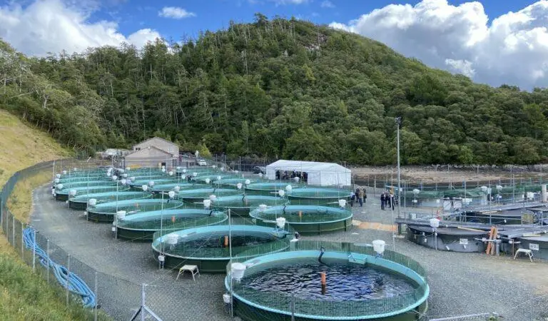 Inverkerry-Hatchery-and-Smolt-Unit-at-Gairloch-in-Wester-Ross.jpg_45804731-b4fonw9b-e1661353130671-768x528
