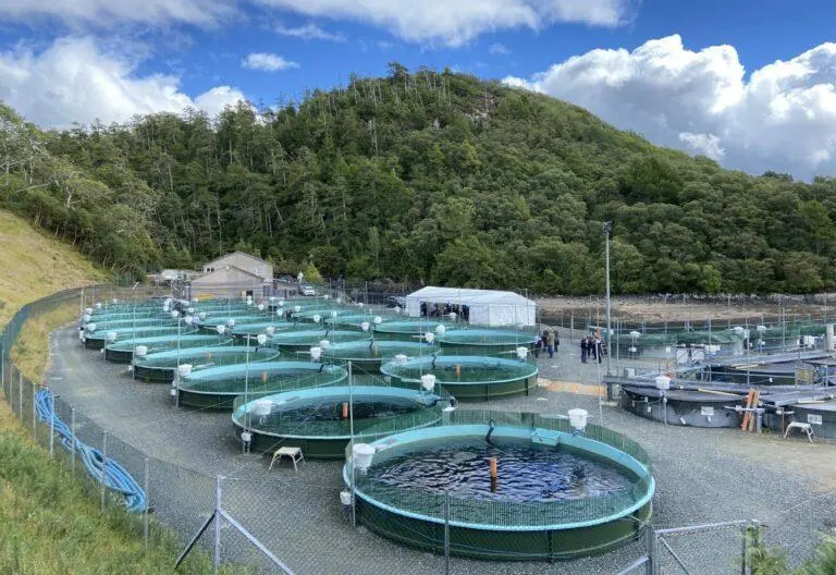Inverkerry-Hatchery-and-Smolt-Unit-at-Gairloch-in-Wester-Ross.jpg_45804731-b4fonw9b-e1661353130671-768x528