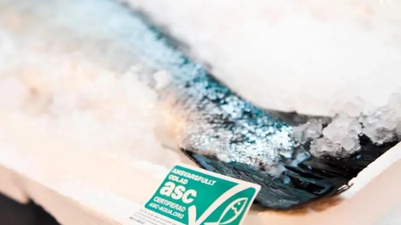 ASC salmon