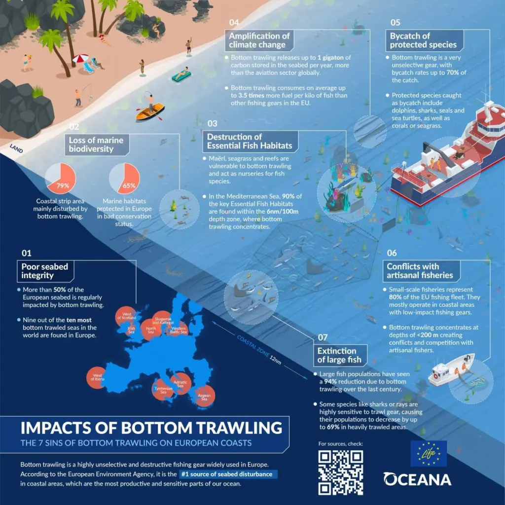infografia-01_actualizada_life
