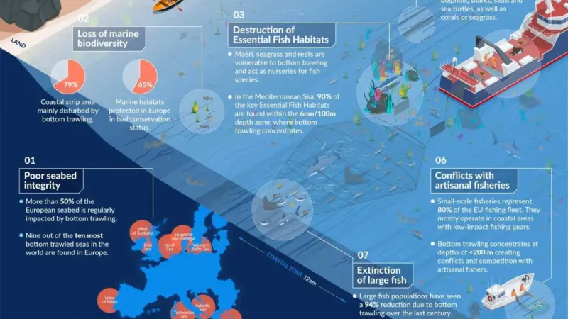 infografia-01_actualizada_life