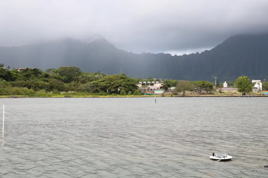 AQS_Hawaii_Fishpond