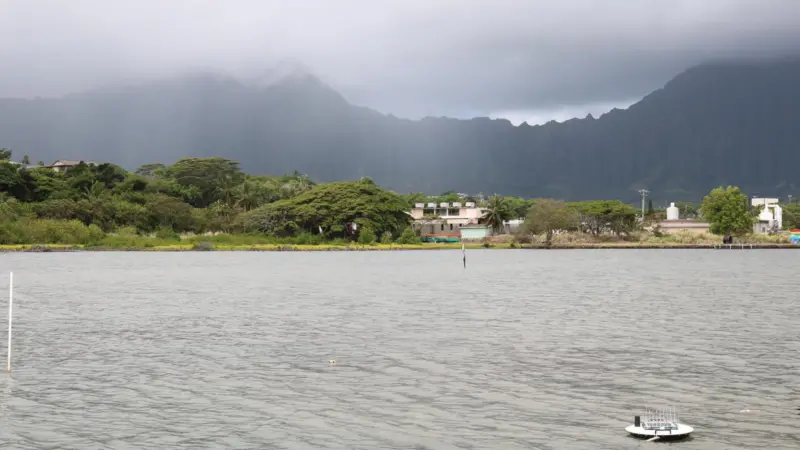 AQS_Hawaii_Fishpond
