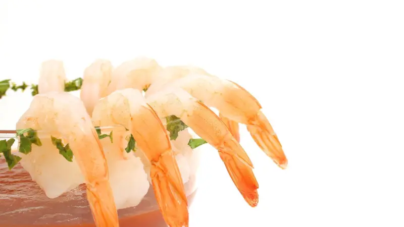 Shrimp